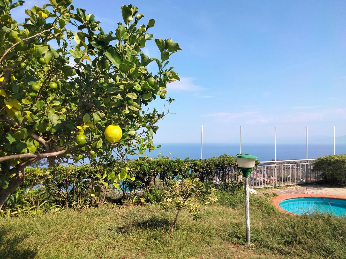 Casa Morello * Zambrone